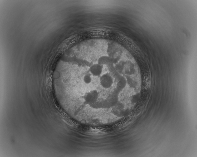 X0000113110753200909251052