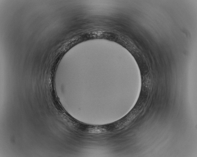 X0000113110754200909251052