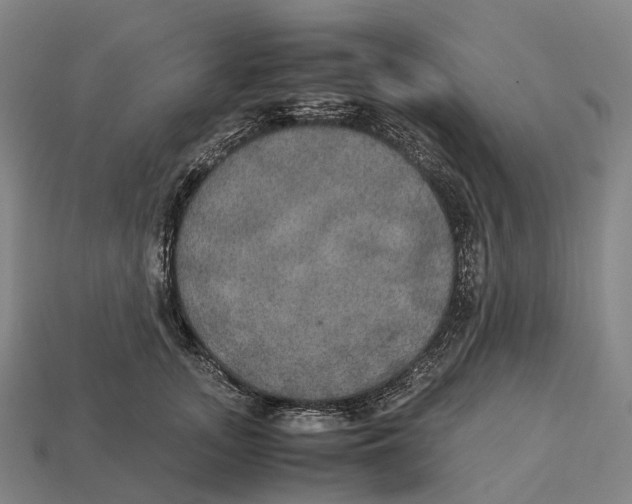 X0000113110755200909251052