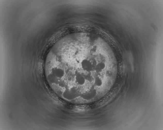 X0000113110757200909251052