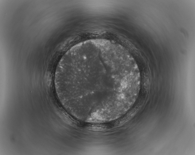 X0000113110758200909251052
