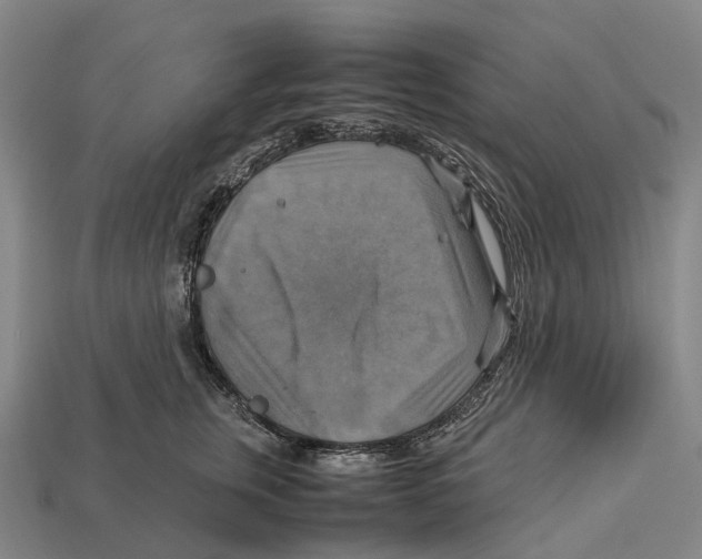 X0000113110759200909251052