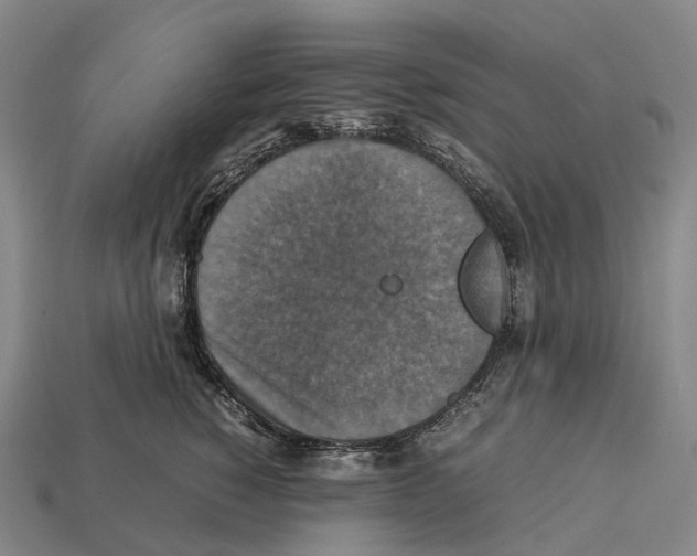 X0000113110760200909251052