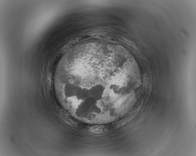 X0000113110761200909251052