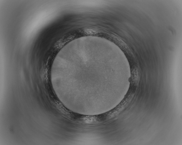 X0000113110762200909251052