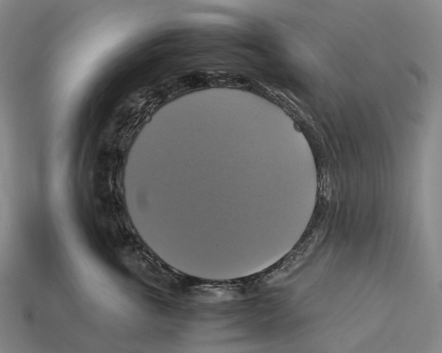 X0000113110763200909251052