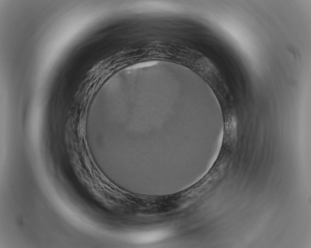 X0000113110765200909251052