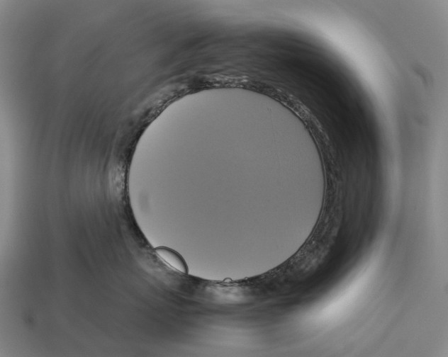 X0000113110767200909251052