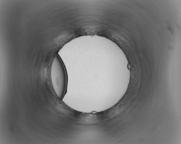 X0000113110768200909251052