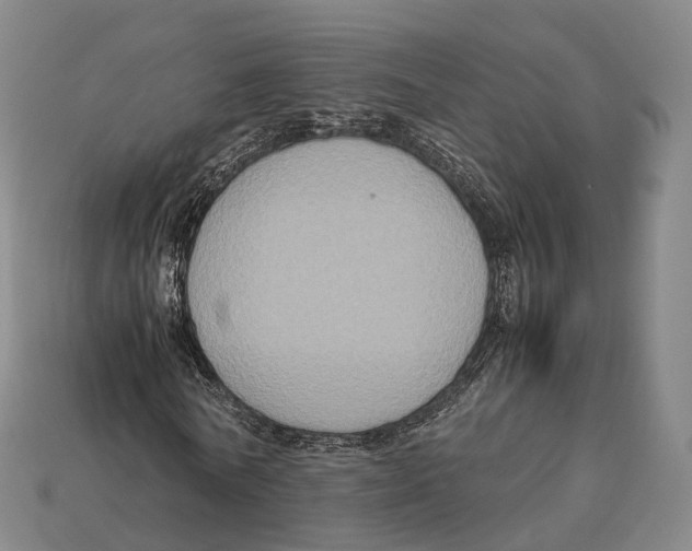 X0000113110770200909251052