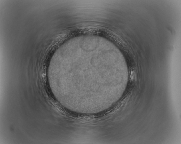 X0000113110771200909251052