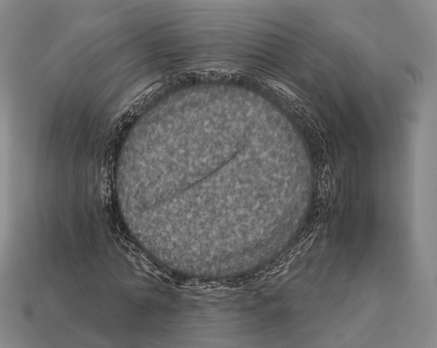 X0000113110774200909251052