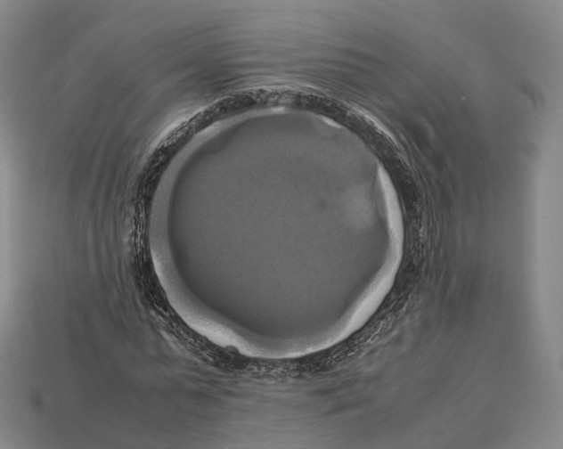 X0000113110775200909251052