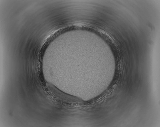 X0000113110776200909251051
