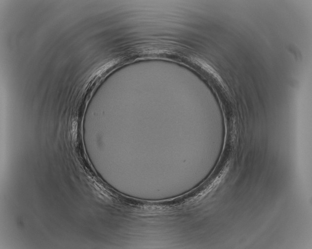 X0000113110777200909251051