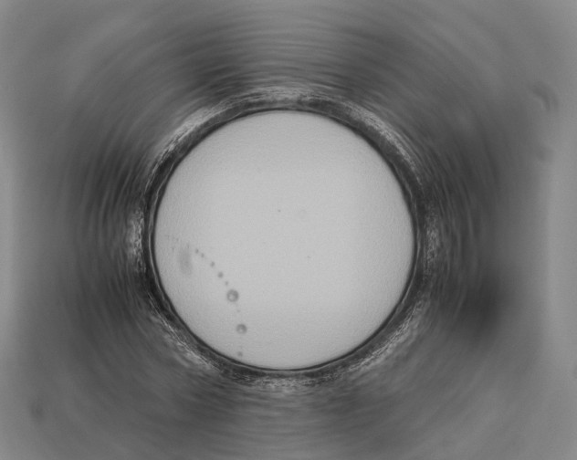 X0000113110778200909251051