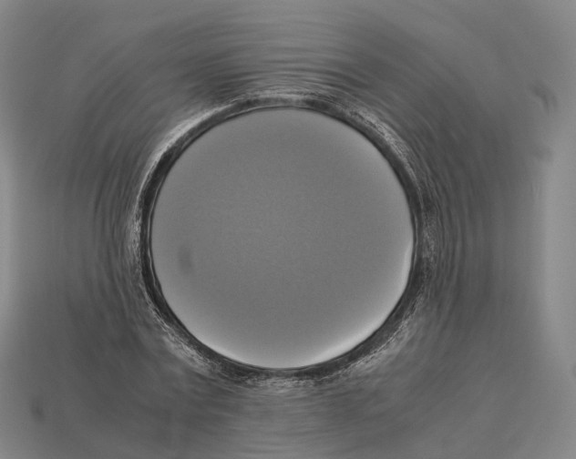 X0000113110779200909251051