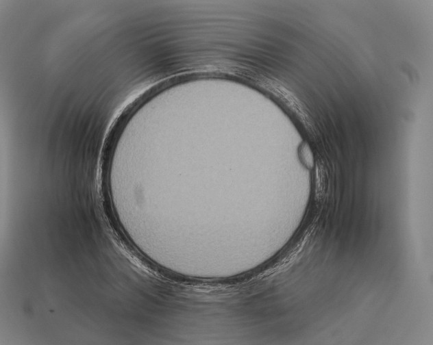 X0000113110780200909251051