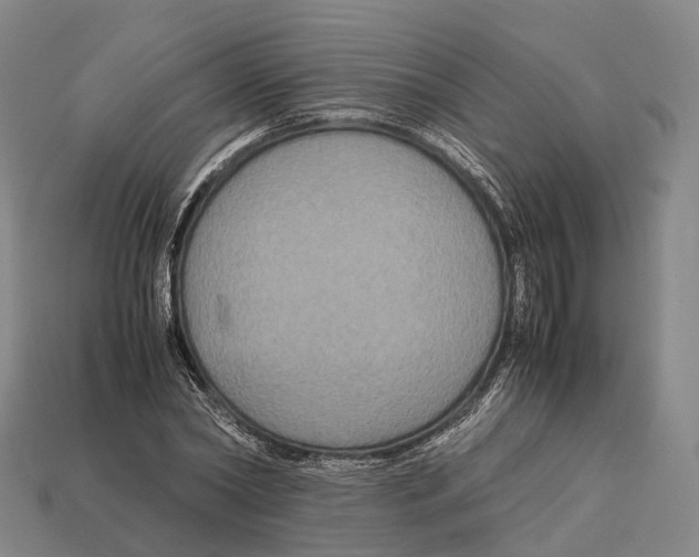 X0000113110782200909251051