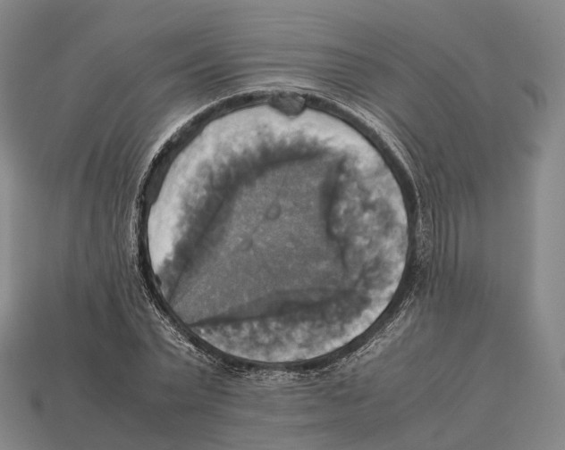 X0000113110783200909251051