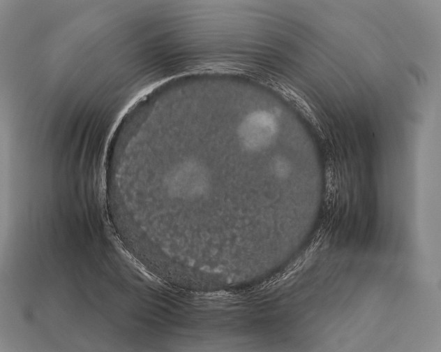 X0000113110784200909251051