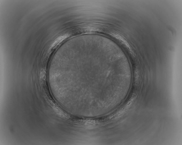 X0000113110785200909251051