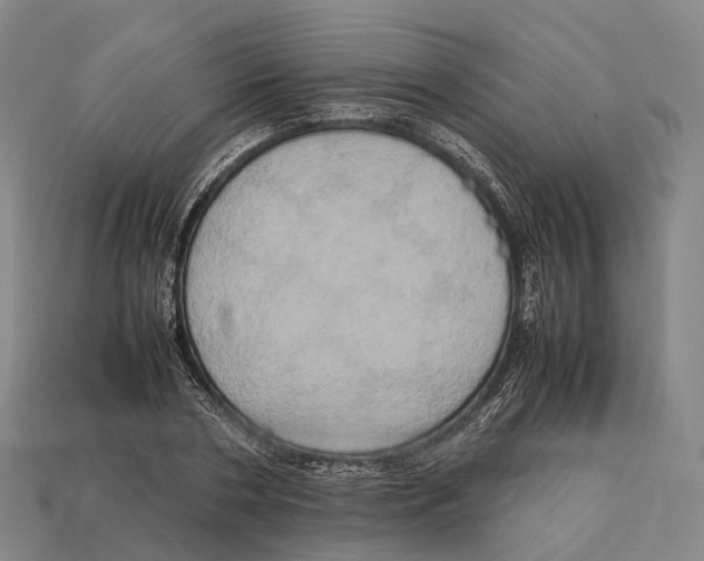 X0000113110786200909251051