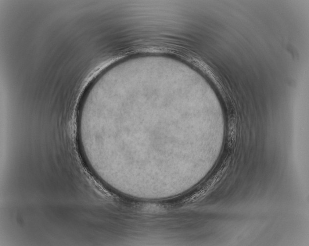 X0000113110787200909251051