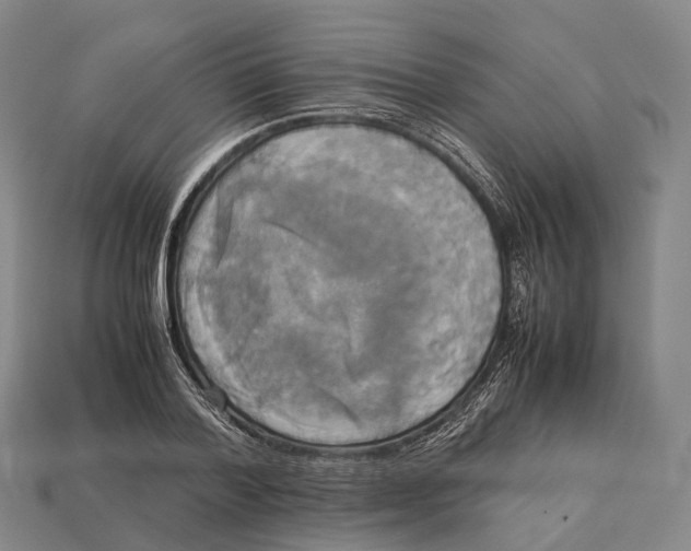 X0000113110788200909251051