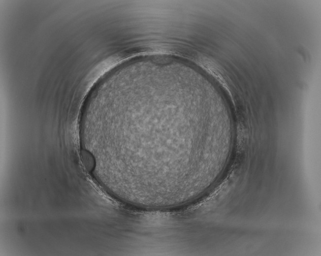 X0000113110789200909251051