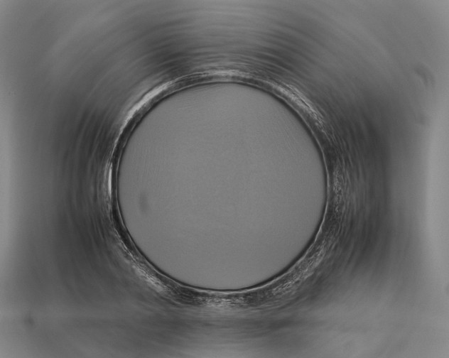 X0000113110790200909251051