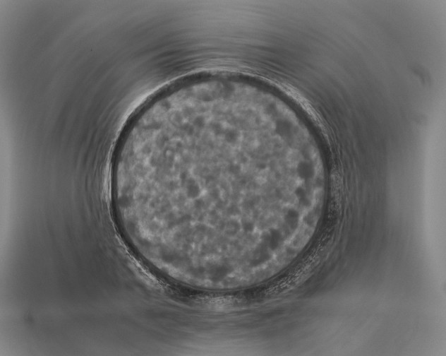 X0000113110791200909251051