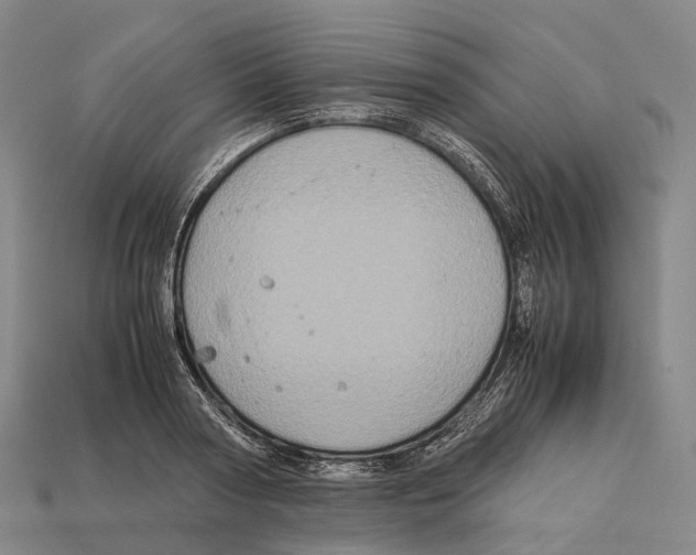 X0000113110794200909251051