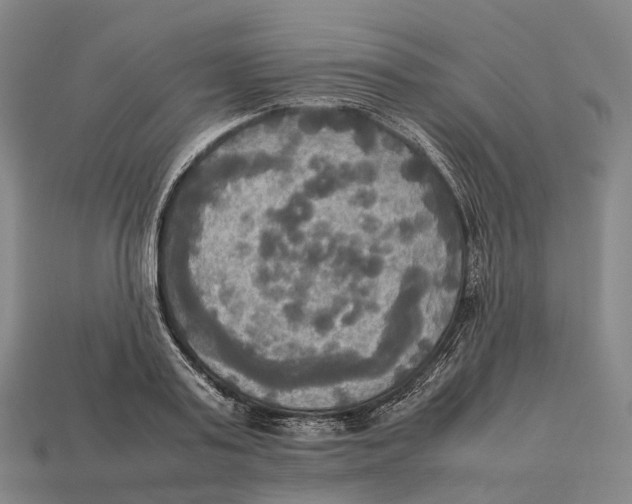 X0000113110795200909251051