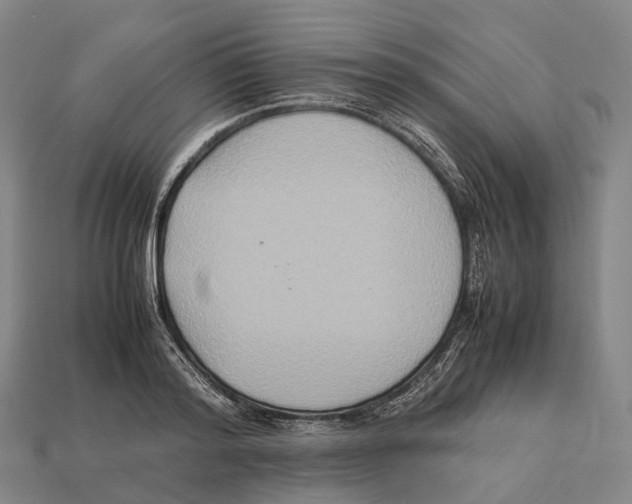 X0000113110796200909251051