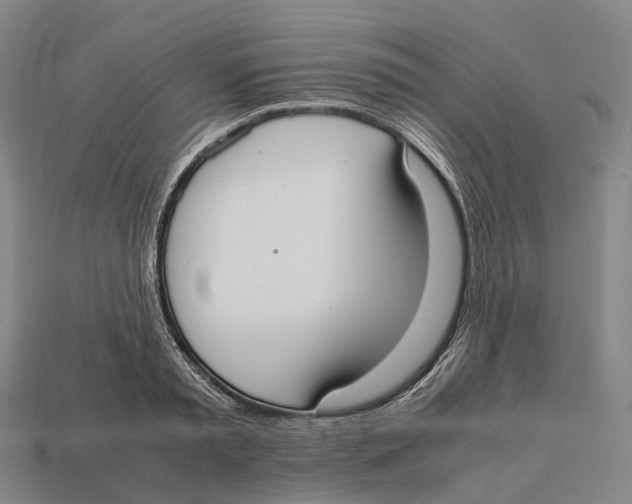 X0000113110797200909251051