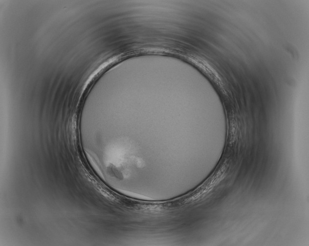 X0000113110798200909251051