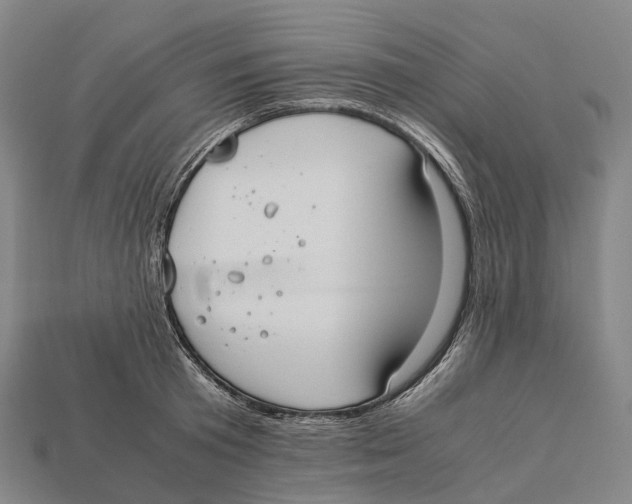 X0000113110801200909251051