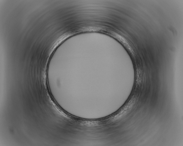 X0000113110802200909251051