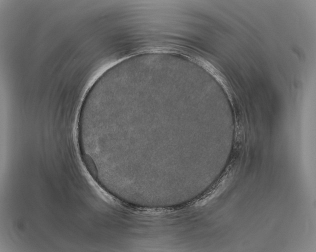 X0000113110803200909251051