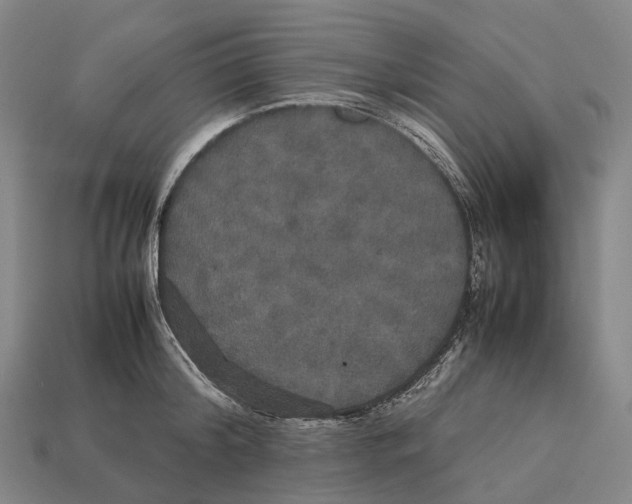 X0000113110804200909251051