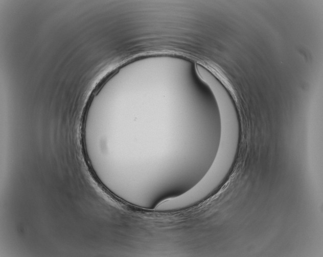 X0000113110805200909251051