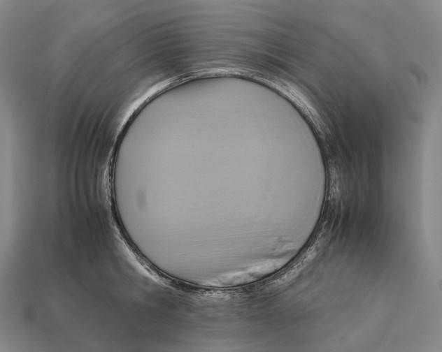 X0000113110806200909251051