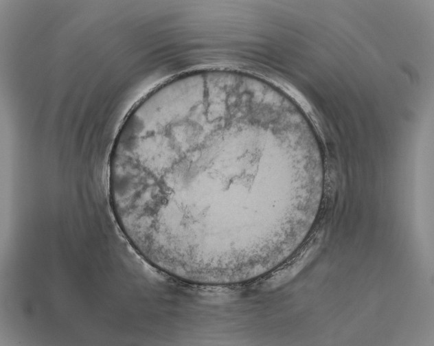 X0000113110807200909251051