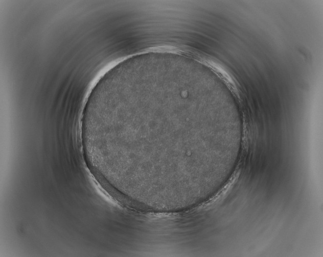 X0000113110808200909251051