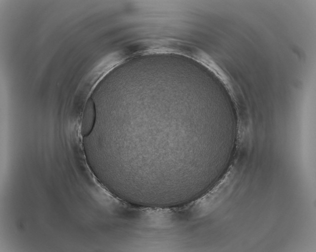 X0000113110809200909251051