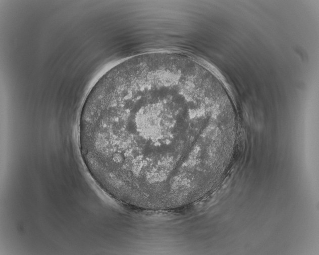 X0000113110811200909251051