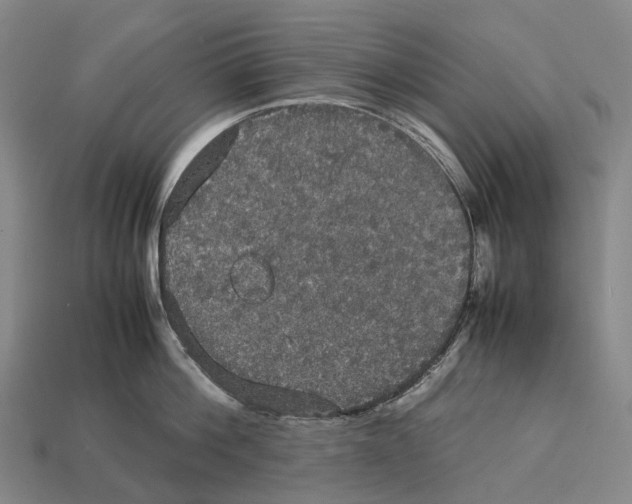 X0000113110812200909251051