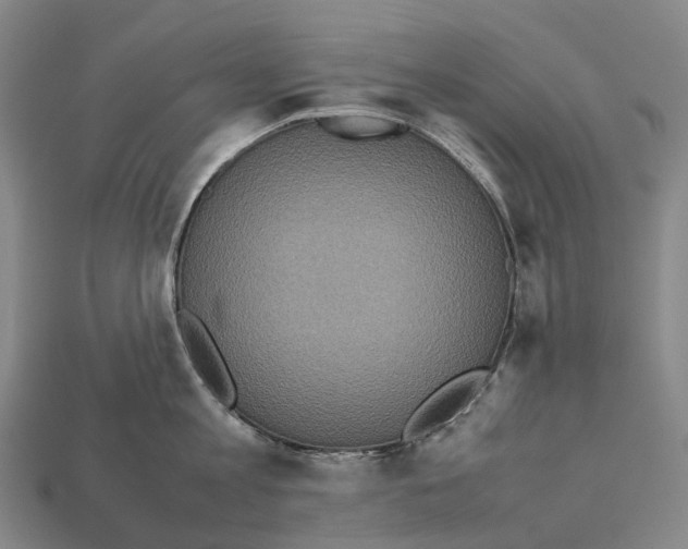 X0000113110813200909251051