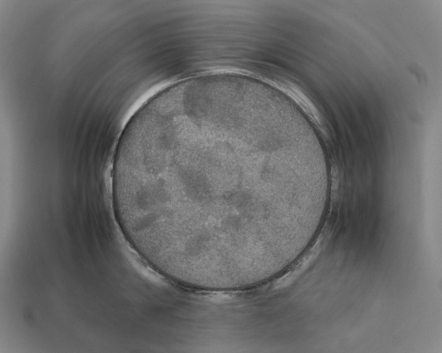 X0000113110814200909251051